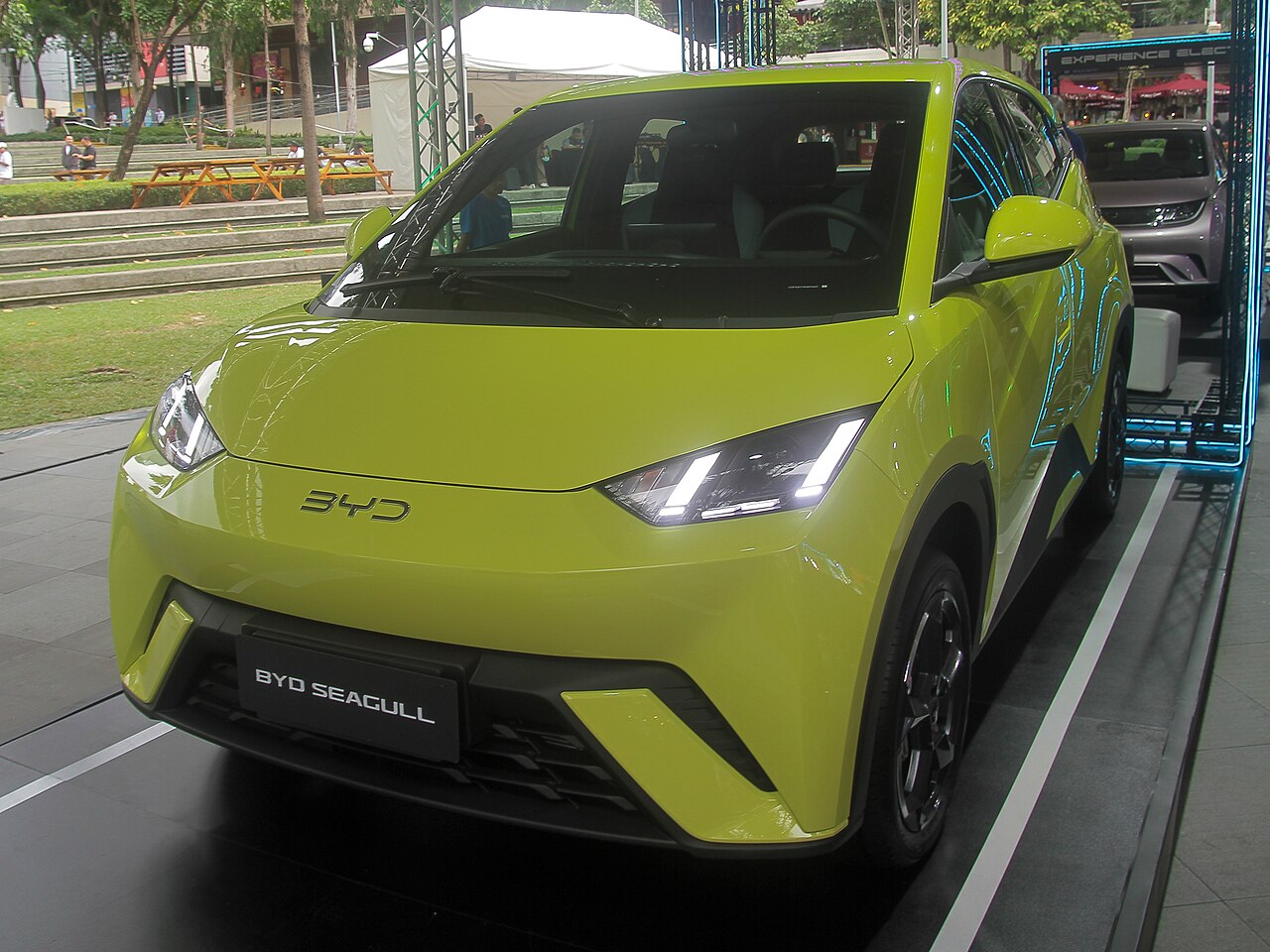 BYD Seagull / Dolphin Mini