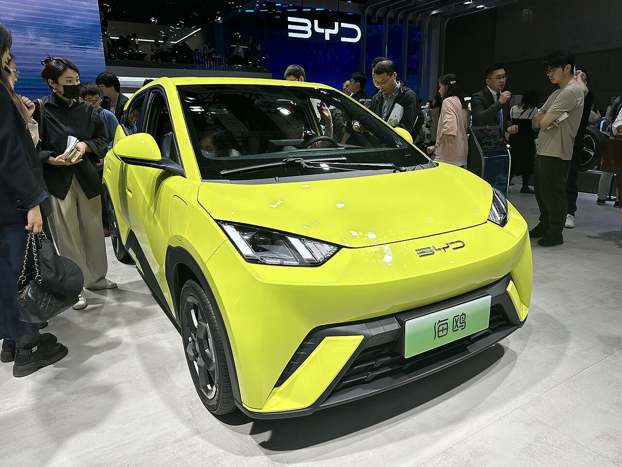 BYD Seagull / Dolphin Mini